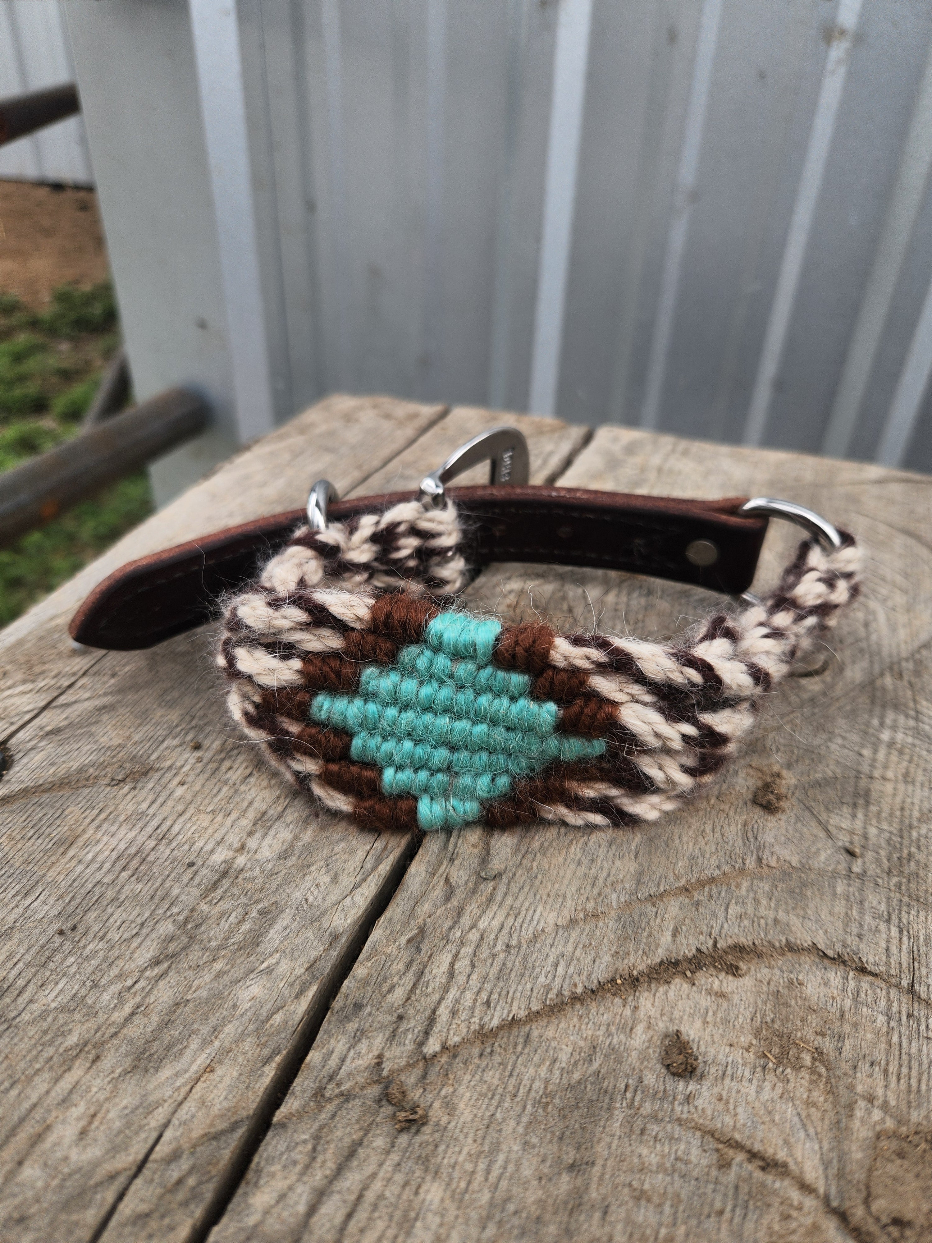 Dog Collars